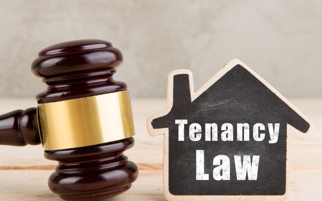 model tenancy act