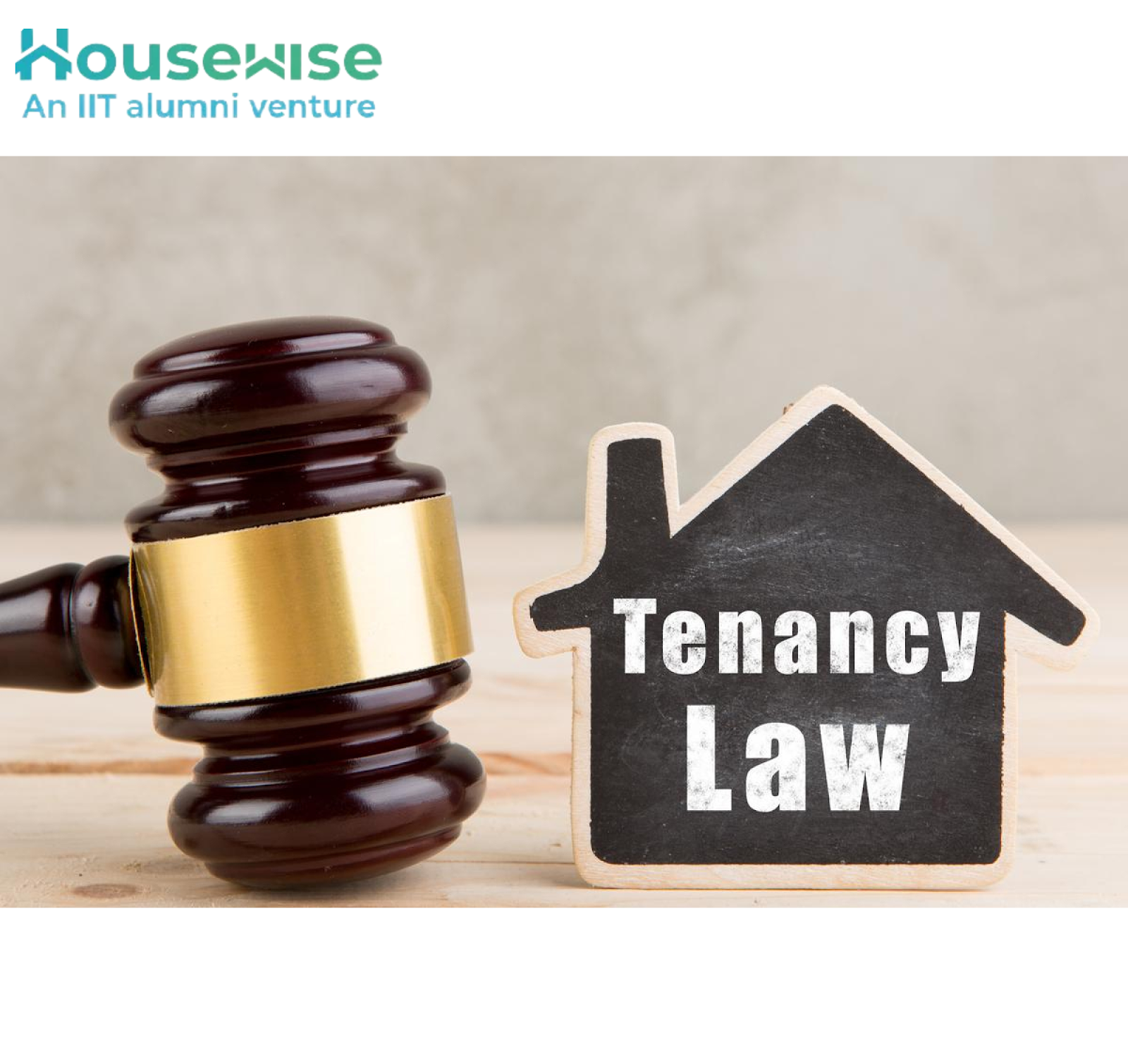 model tenancy act